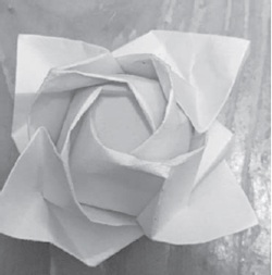 写真：折り紙の作品